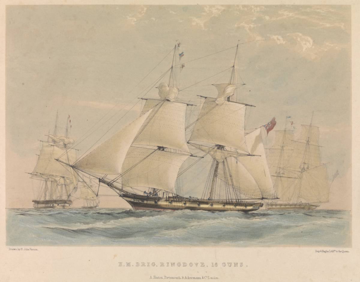 H.M. Brig Ringdove, 16 guns 1833.jpg