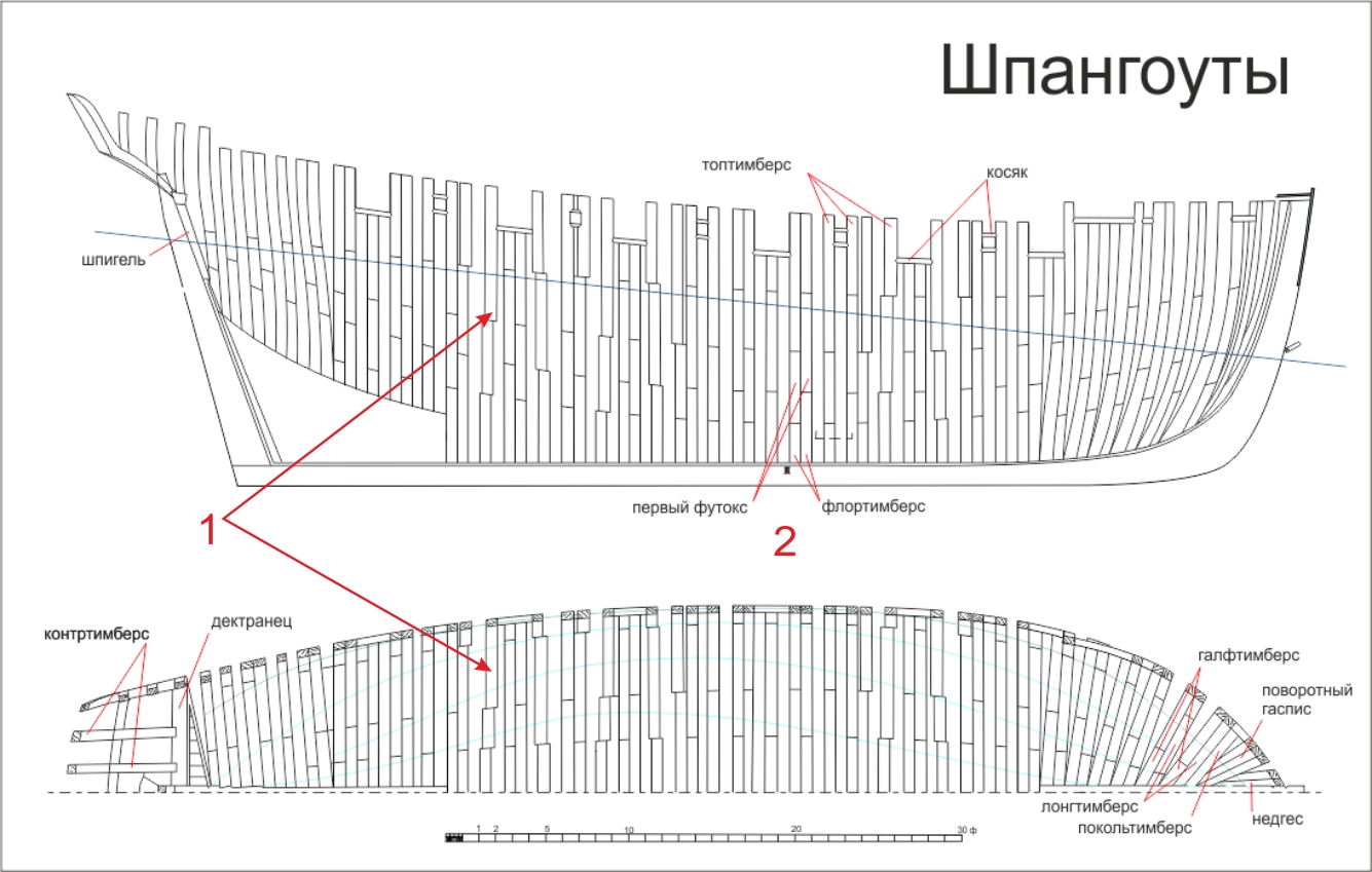 шпангоуты Луча.jpg